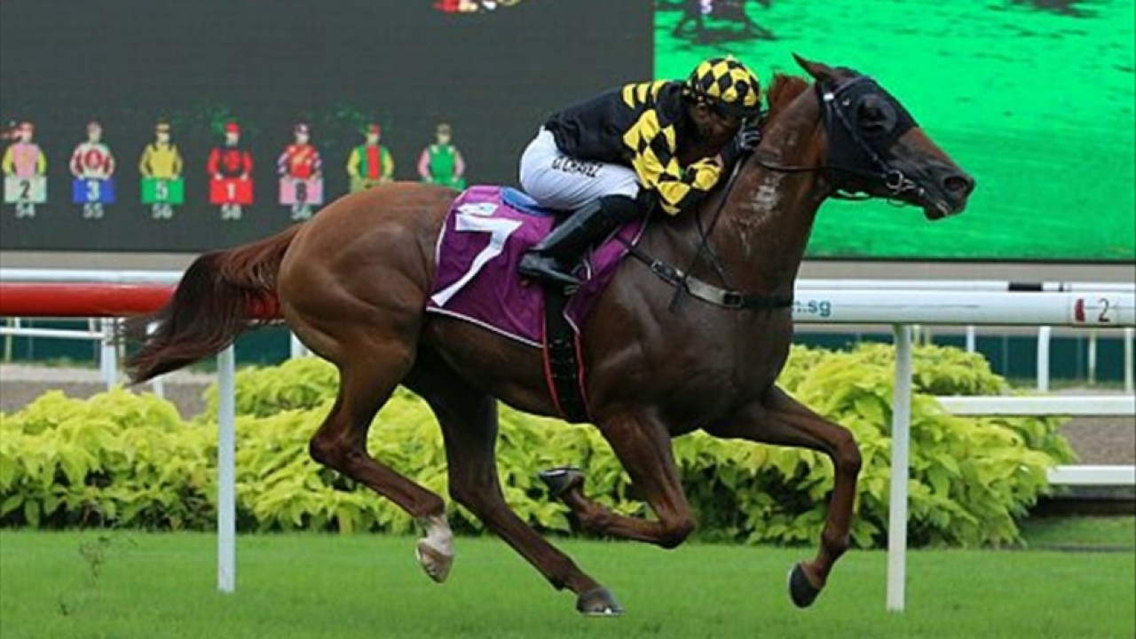 Golden Monkey Secures First Group Win For Singapore Trainer  ... Image 1